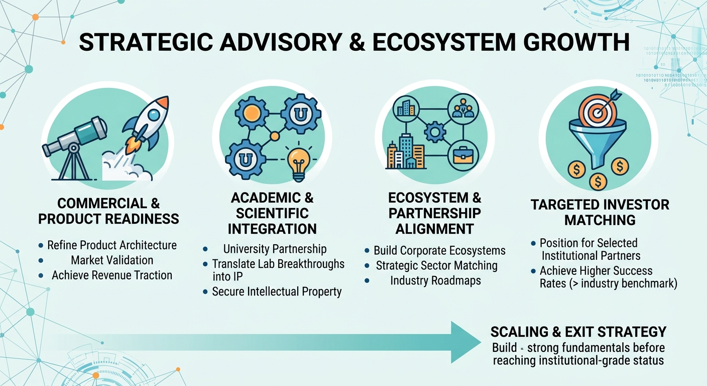 Strategic Advisory Beyond Traditional Venture Capital for Scale-Ups and Research Spin-Outs Kuwait